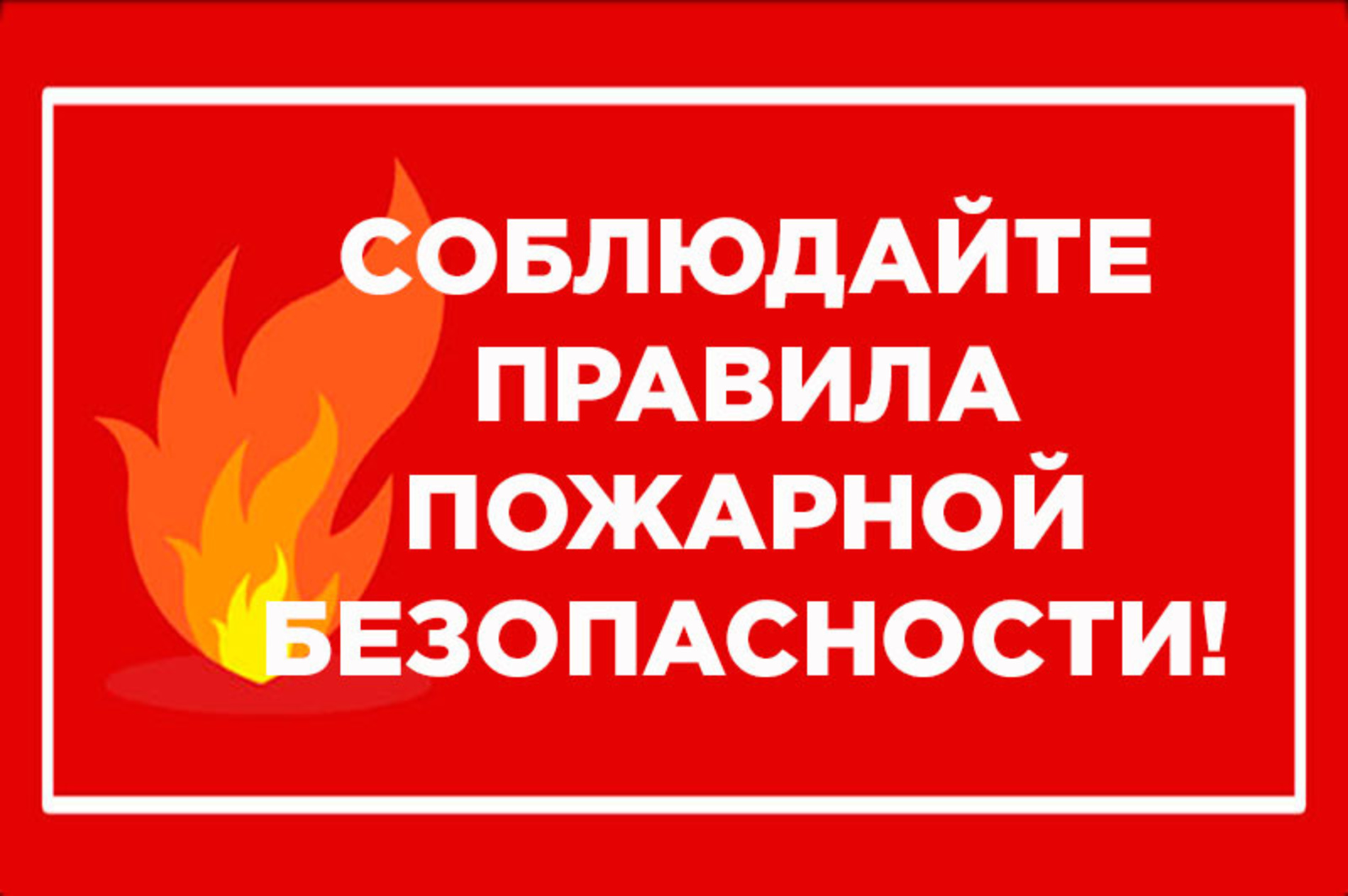 Ответственность за обеспечение пожарной безопасности на территории приусадебного участка, жилого дома, дачного участка возлагается на их владельцев.