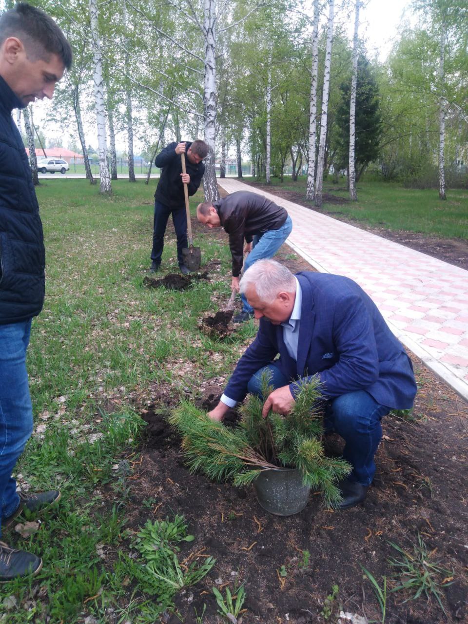 В Советском районе проходит эколого-патриотическая акция «Сад Памяти».