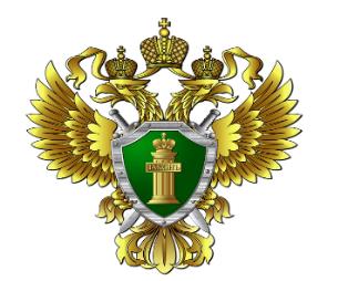 Административная ответственность несовершеннолетних. Административная ответственность несовершеннолетних.